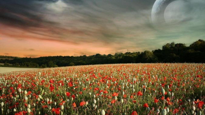 为什么web worker可以在前端开多线程，解决单线程卡死页面的问题，但是没有得到广泛使用？